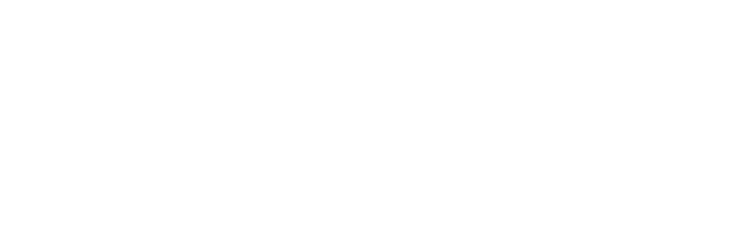 変愚蛮怒